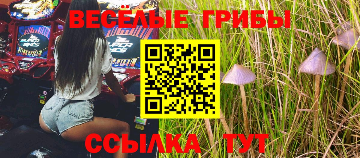 Орск  Псилоцибиновые грибы ЛСД  Вход с VPN 