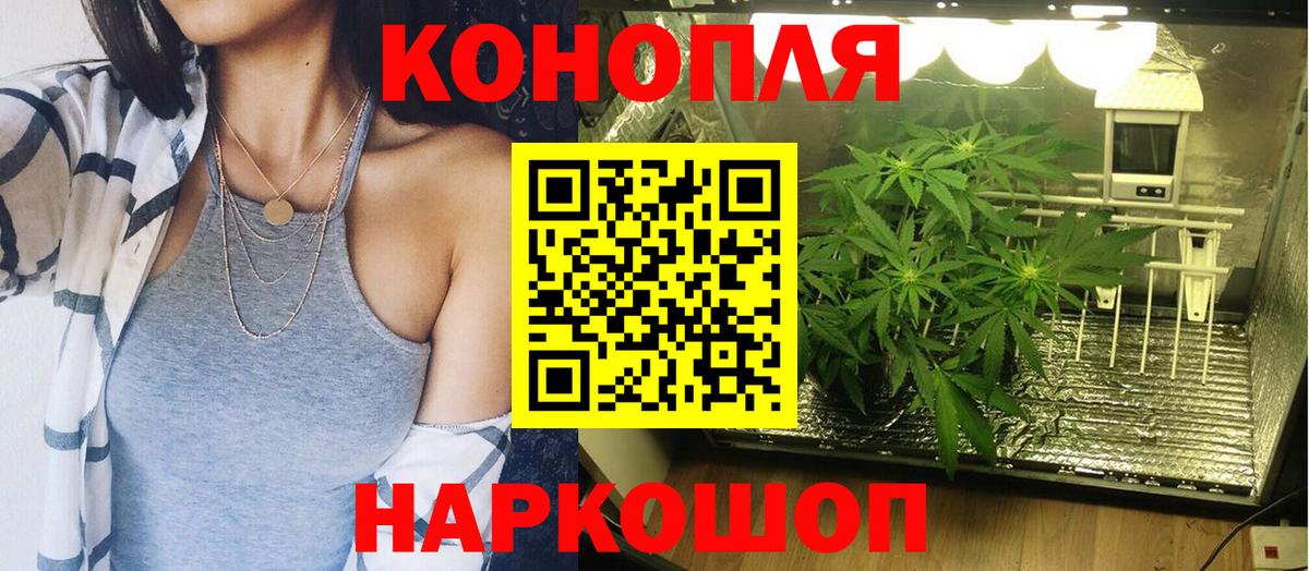 Бошки Шишки сатива Орск